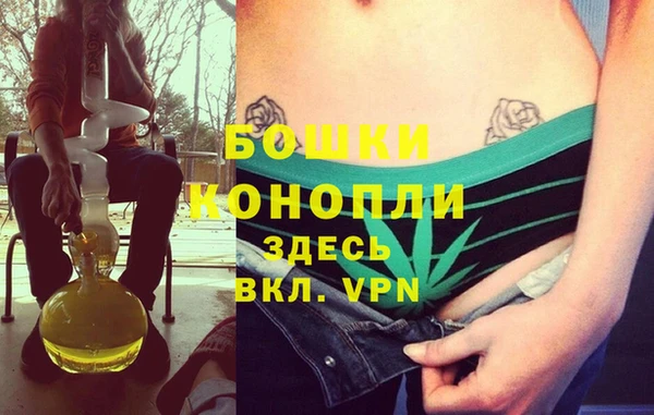 PSILOCYBIN Краснослободск
