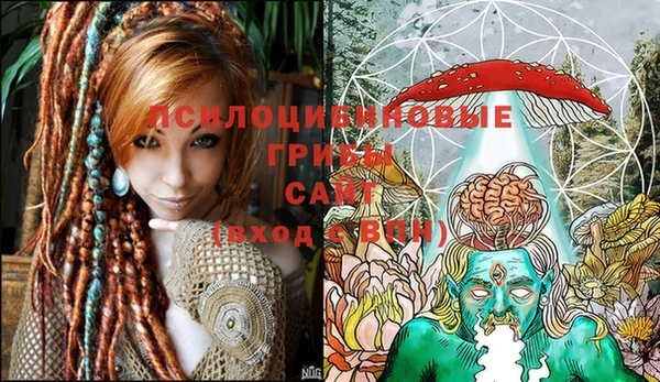 соль ск Куйбышев