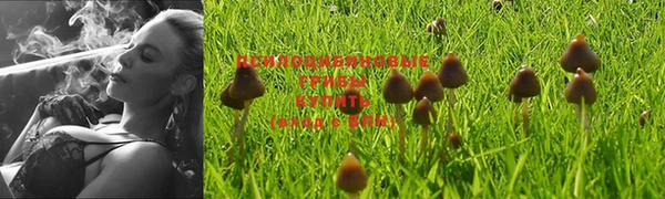 твердый Красноперекопск