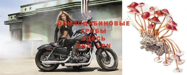 твердый Красноперекопск