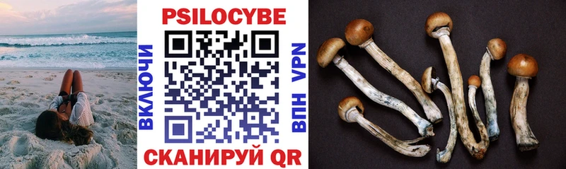Псилоцибиновые грибы мицелий  Купить  Беломорск 